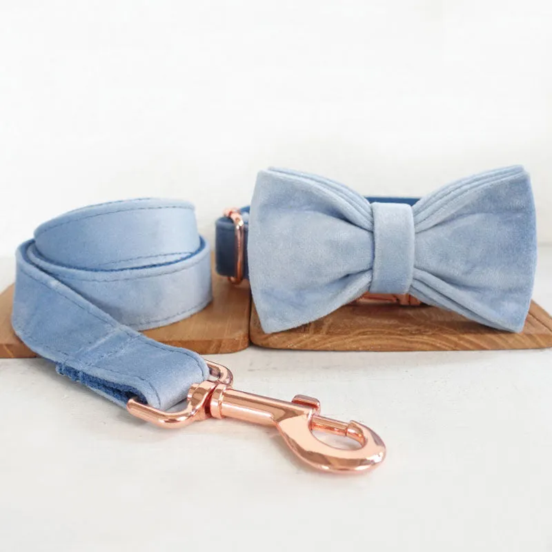 Personalized Dog Collar Set Engraved Rose Gold Buckle Queen Blue Velvet