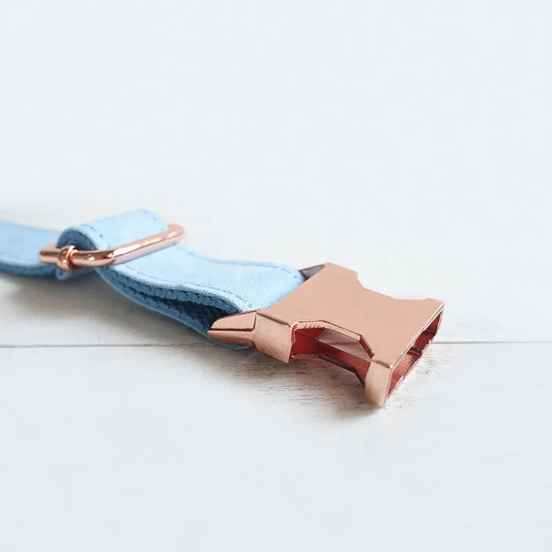 Personalized Dog Collar Set Engraved Rose Gold Buckle Sky Blue Velvet
