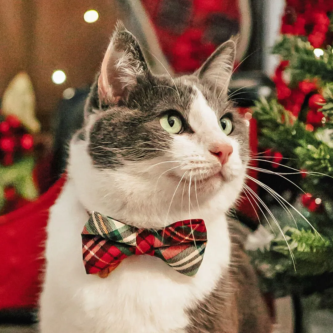 Pet Bow Tie - "Birchwood" - Christmas Red & Green Plaid Cat Bow Tie / Holiday / For Cats   Small Dogs (One Size)