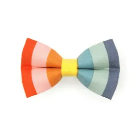 Pet Bow Tie - "Carousel" - Rainbow Striped Cat Bow Tie / Summer, LGBTQ  Pride, Birthday / For Cats   Small Dogs (One Size)