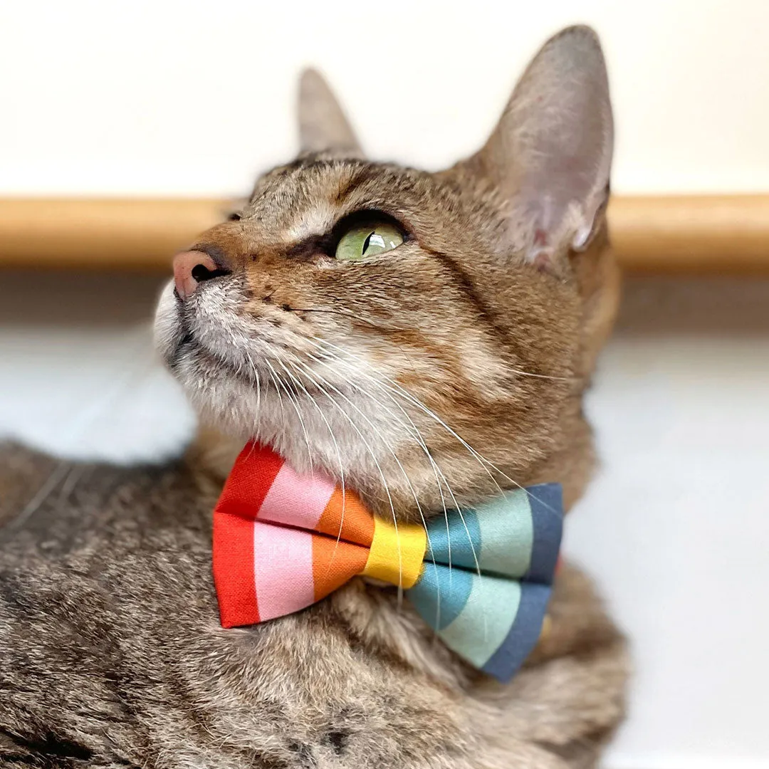 Pet Bow Tie - "Carousel" - Rainbow Striped Cat Bow Tie / Summer, LGBTQ  Pride, Birthday / For Cats   Small Dogs (One Size)