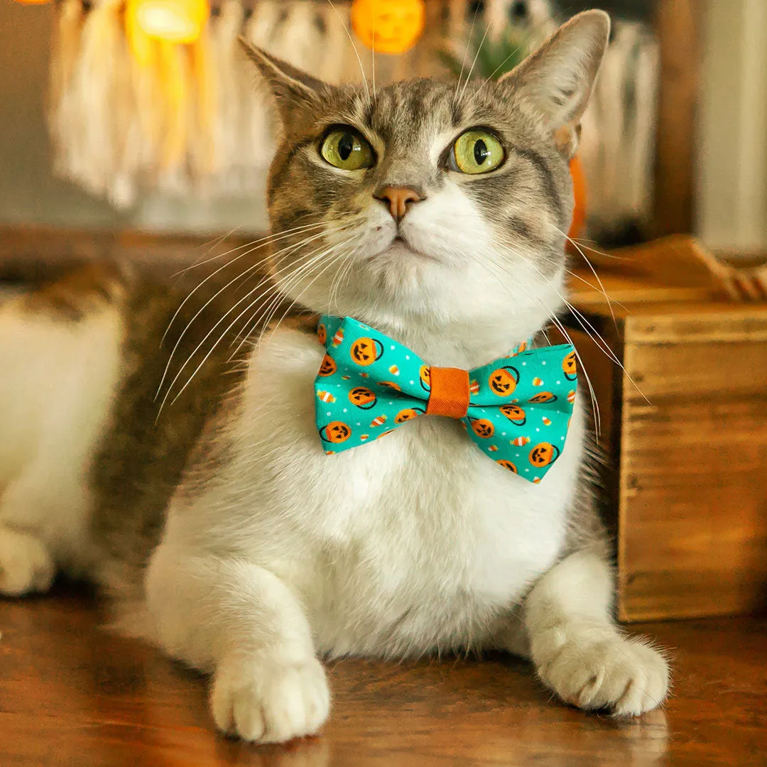 Pet Bow Tie - "Party Pumpkins" - Halloween Trick-or-Treat Jackolantern Cat Bow Tie / For Cats   Small Dogs (One Size)