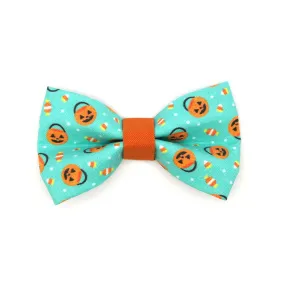 Pet Bow Tie - "Party Pumpkins" - Halloween Trick-or-Treat Jackolantern Cat Bow Tie / For Cats   Small Dogs (One Size)