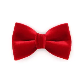 Pet Bow Tie - "Velvet - Garnet Red" - Rich Lustrous Soft Red Velvet - Christmas / Holiday - Detachable Bowtie for Cats   Dogs
