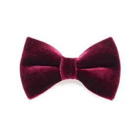 Pet Bow Tie - "Velvet - Merlot" - Burgundy Wine Velvet Bowtie / Wedding / For Cats   Small Dogs / Removable (One Size)