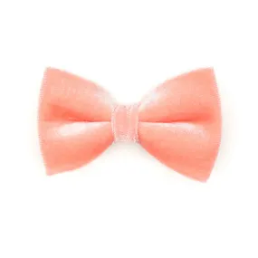Pet Bow Tie - "Velvet - Peach Coral Pink" - Light Coral Pink Velvet Bow Tie for Cat / For Cats   Small Dogs (One Size)