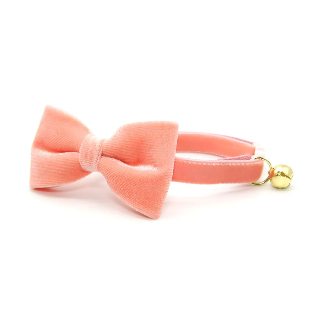 Pet Bow Tie - "Velvet - Peach Coral Pink" - Light Coral Pink Velvet Bow Tie for Cat / For Cats   Small Dogs (One Size)
