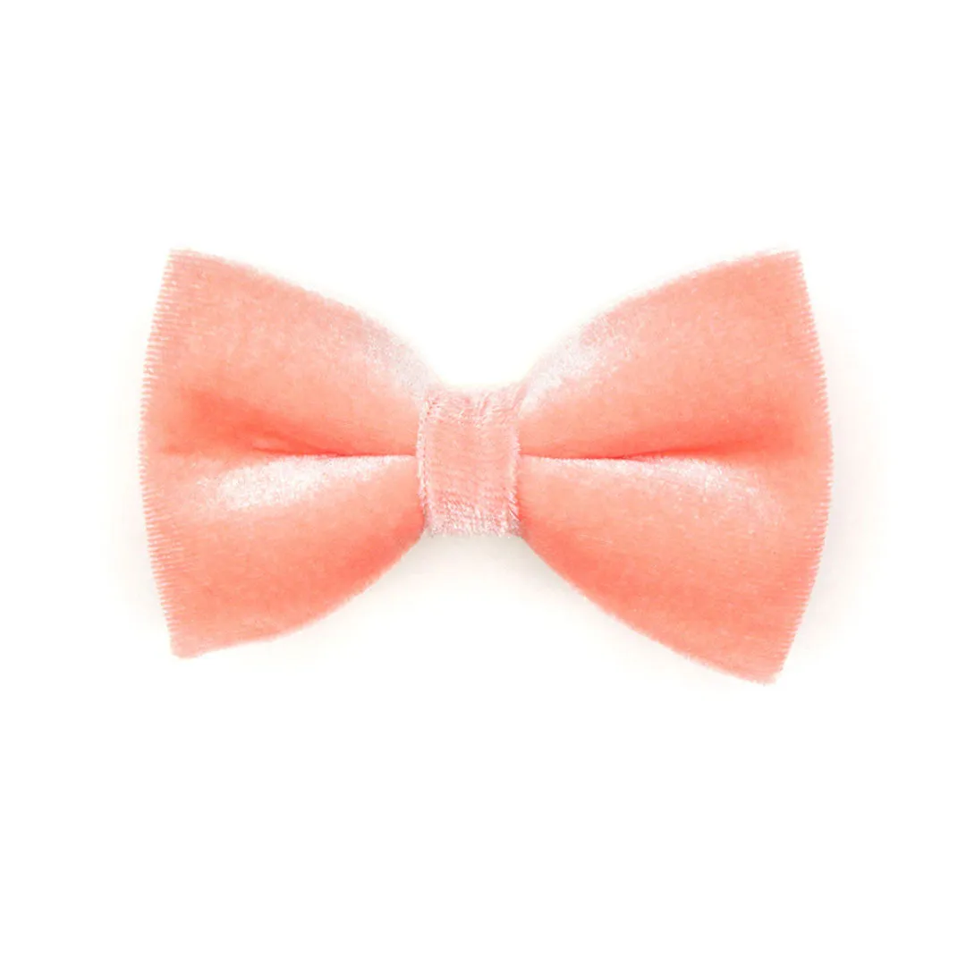Pet Bow Tie - "Velvet - Peach Coral Pink" - Light Coral Pink Velvet Bow Tie for Cat / For Cats   Small Dogs (One Size)