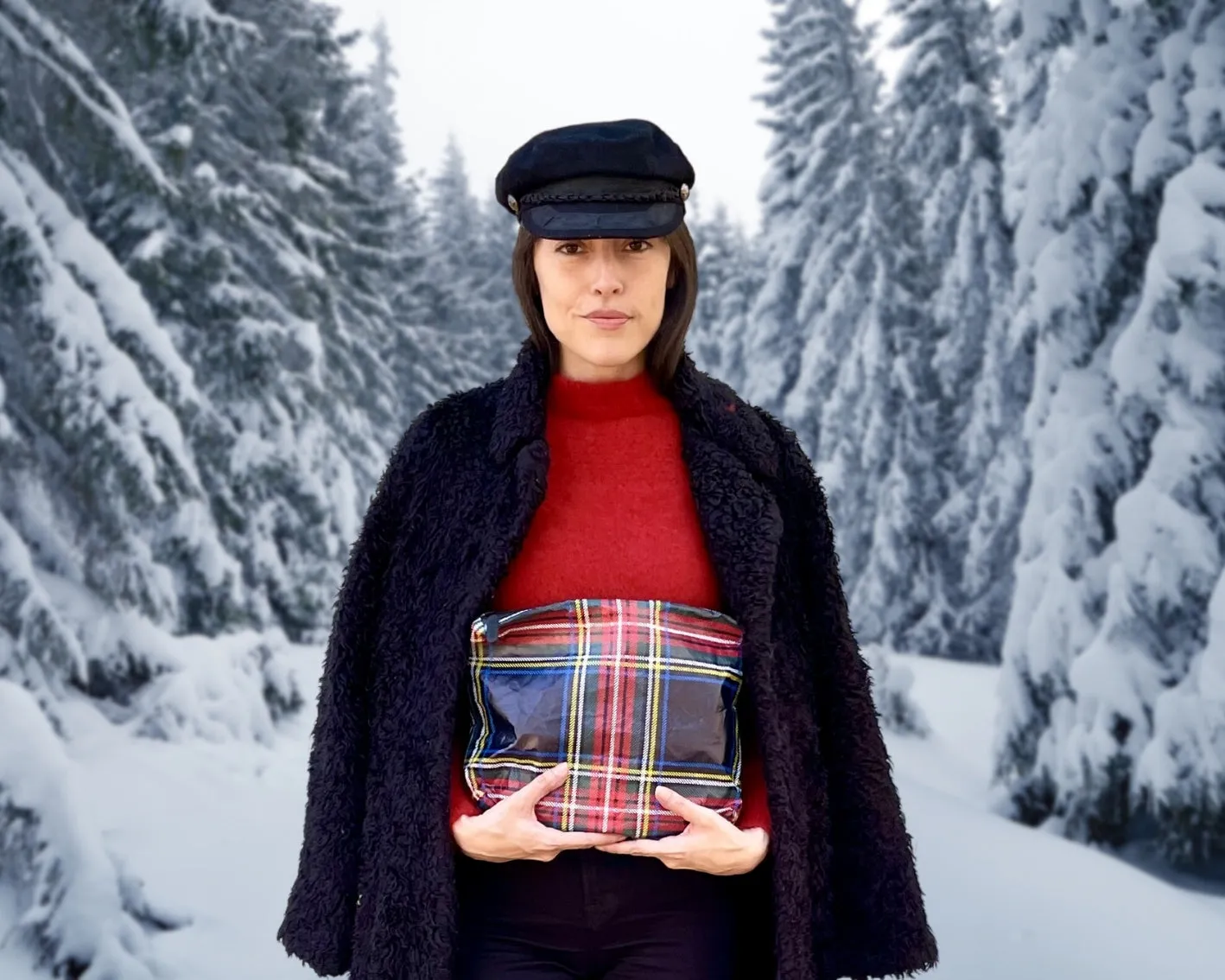 Set of Two - Organizational Packs - Holiday Plaid Pattern