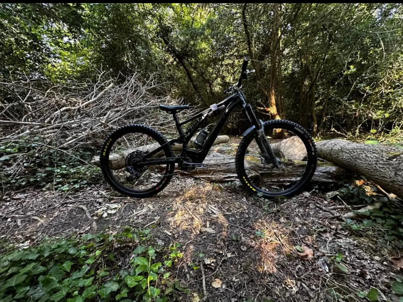 Specialized Turbo Kenevo Expert 2023