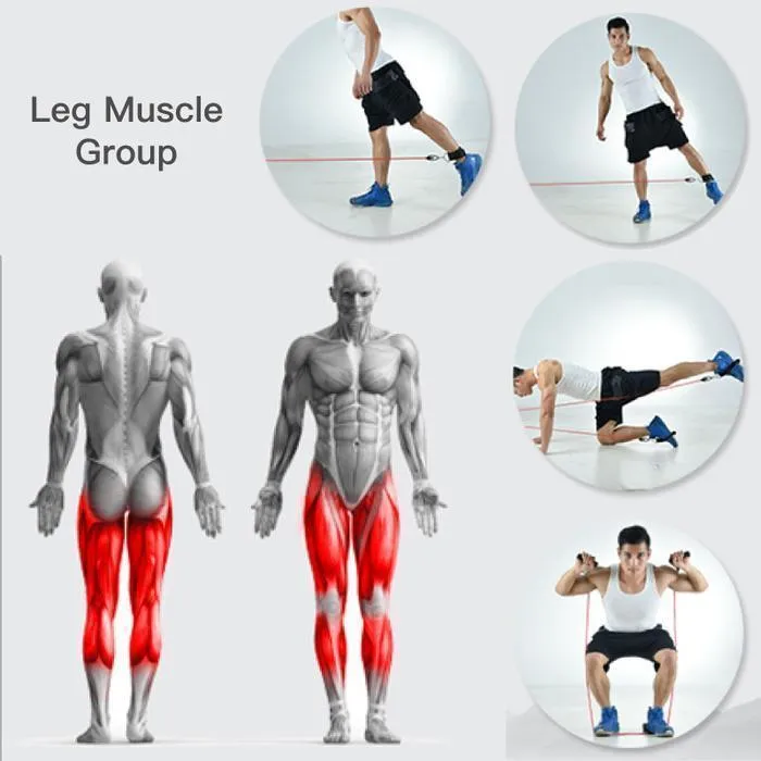 Ultimate Resistance Band Set